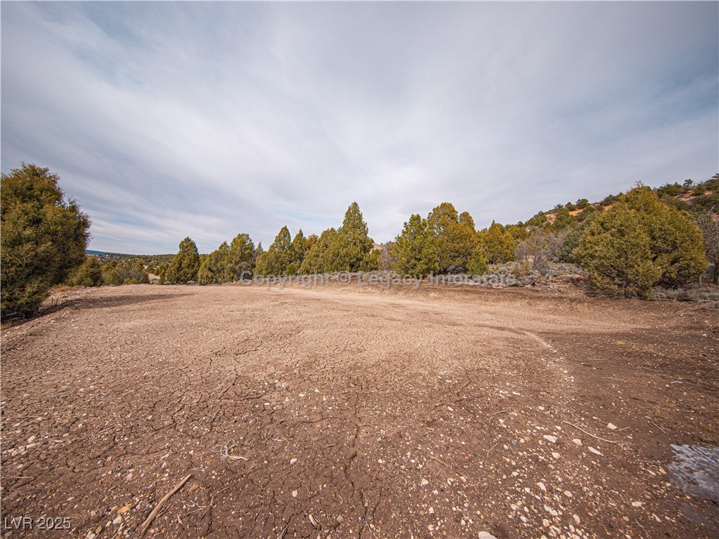 4300 North Moquie Court Property Photo 16