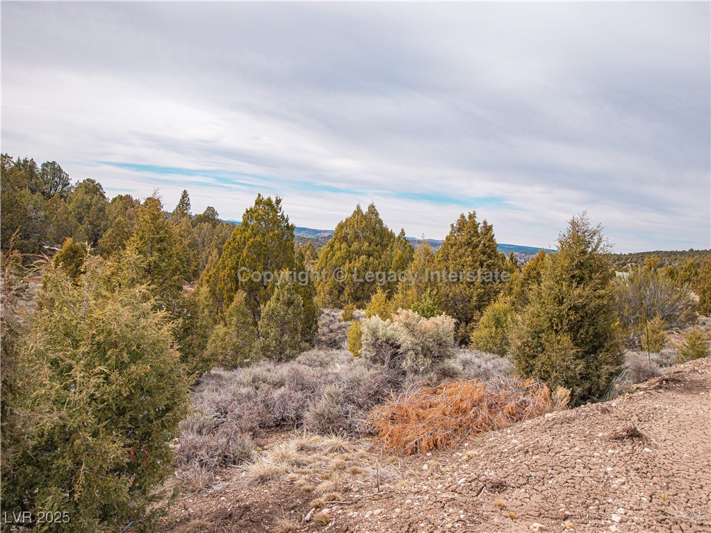 4300 North Moquie Court Property Photo 17