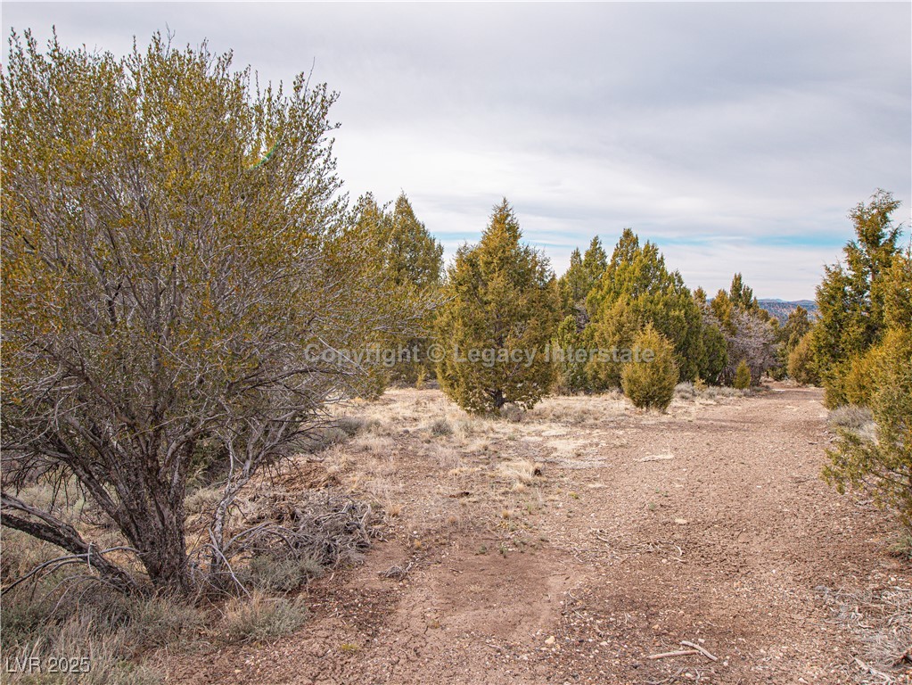 4300 North Moquie Court Property Photo 20