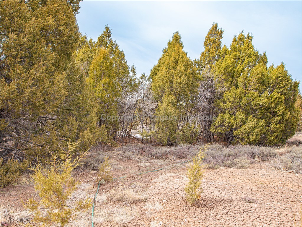 4300 North Moquie Court Property Photo 21