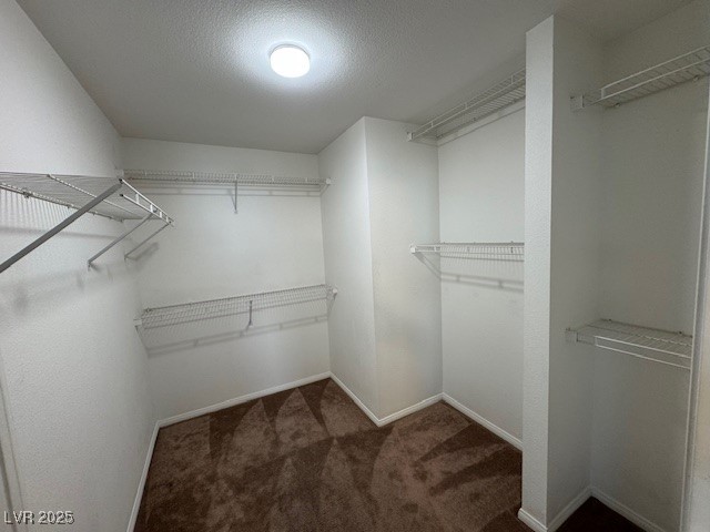 3429 Back Country Drive Property Photo 18