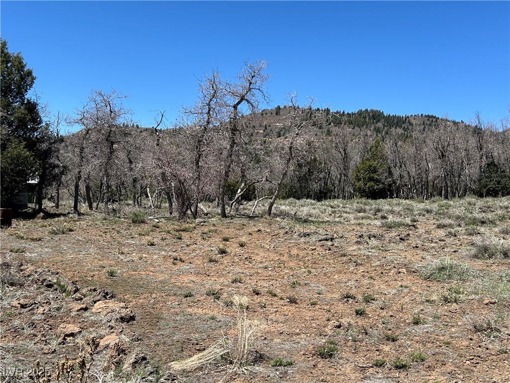 1210 North Homestead Drive Property Photo 4