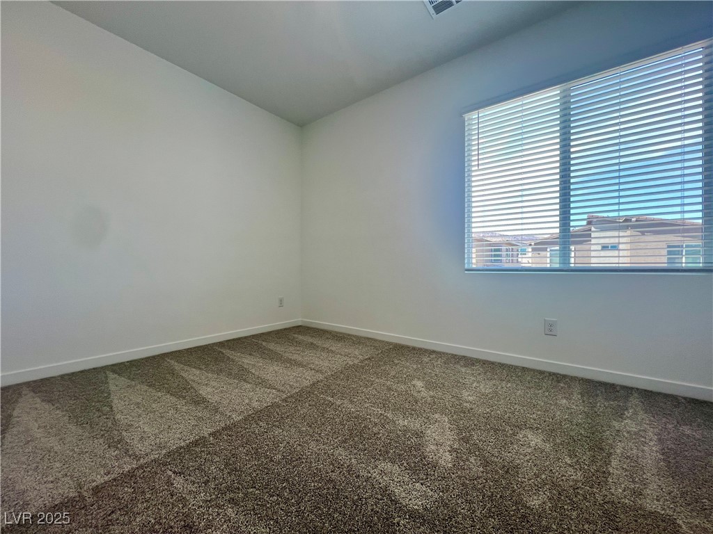 312 Mount Tyndall Street Property Photo 43