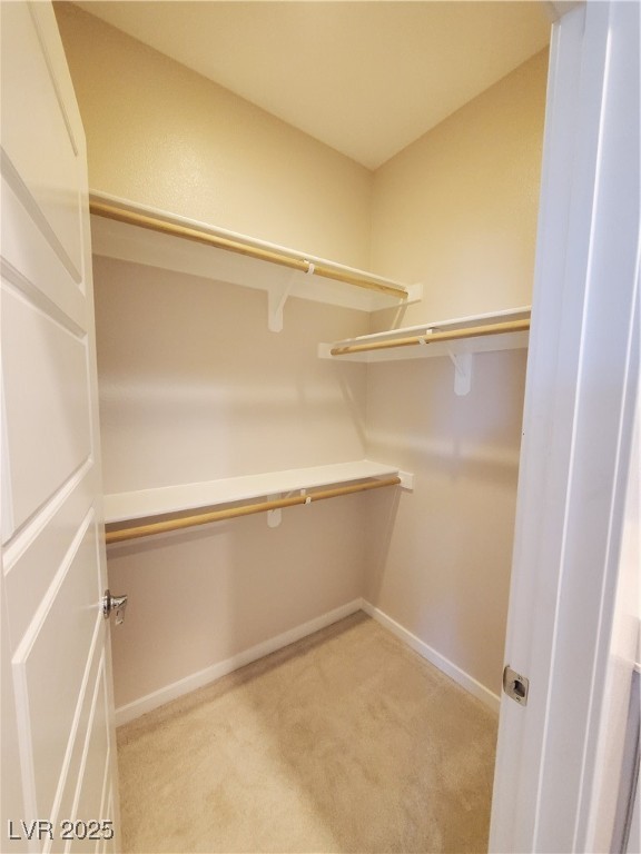 11251 Hidden Peak Avenue 212 Property Photo 14