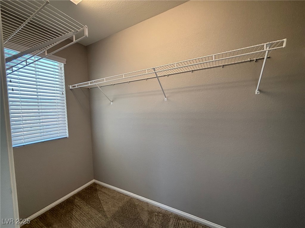 2664 Frabiele Street Property Photo 14
