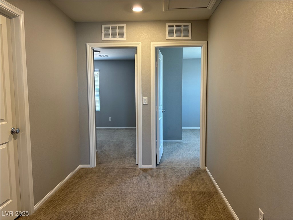 2664 Frabiele Street Property Photo 21