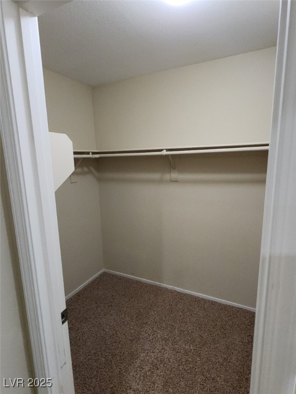 771 Peregrine Falcon Street Property Photo 16