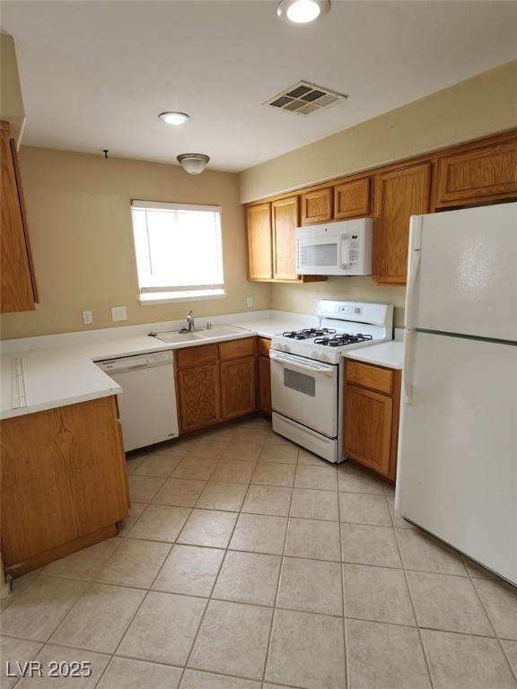 771 Peregrine Falcon Street Property Photo 27