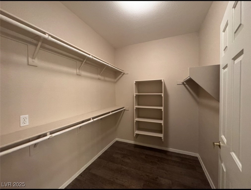 10525 Autumn Pine Avenue 204 Property Photo 18