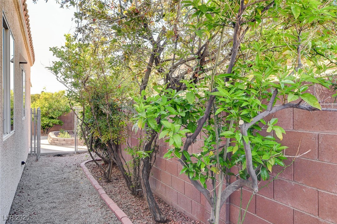 1506 Camino Summit Avenue Property Photo 41