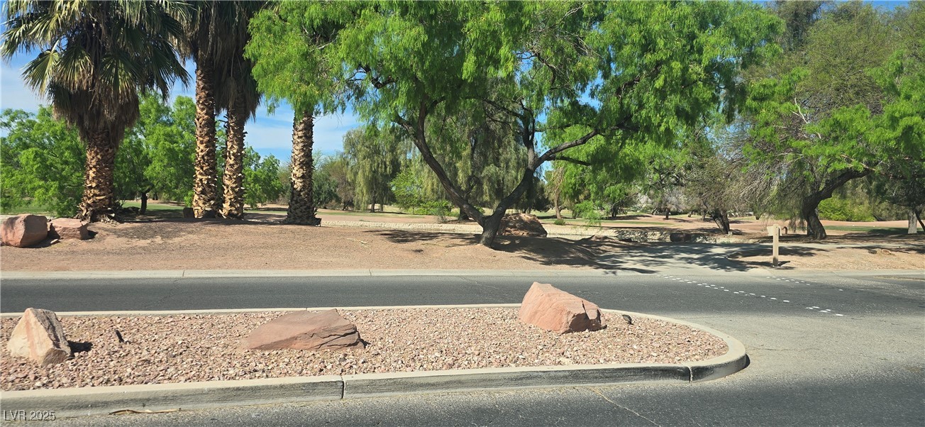 6160 Majestic Wind Avenue Property Photo 37
