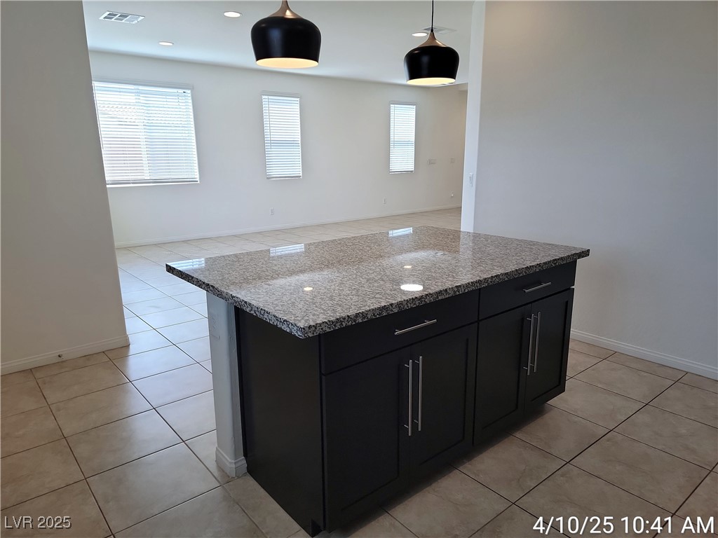 800 Cadence View Way Property Photo 10