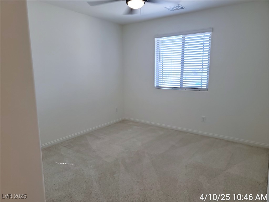 800 Cadence View Way Property Photo 29