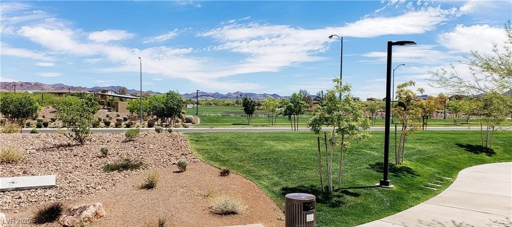 800 Cadence View Way Property Photo 45