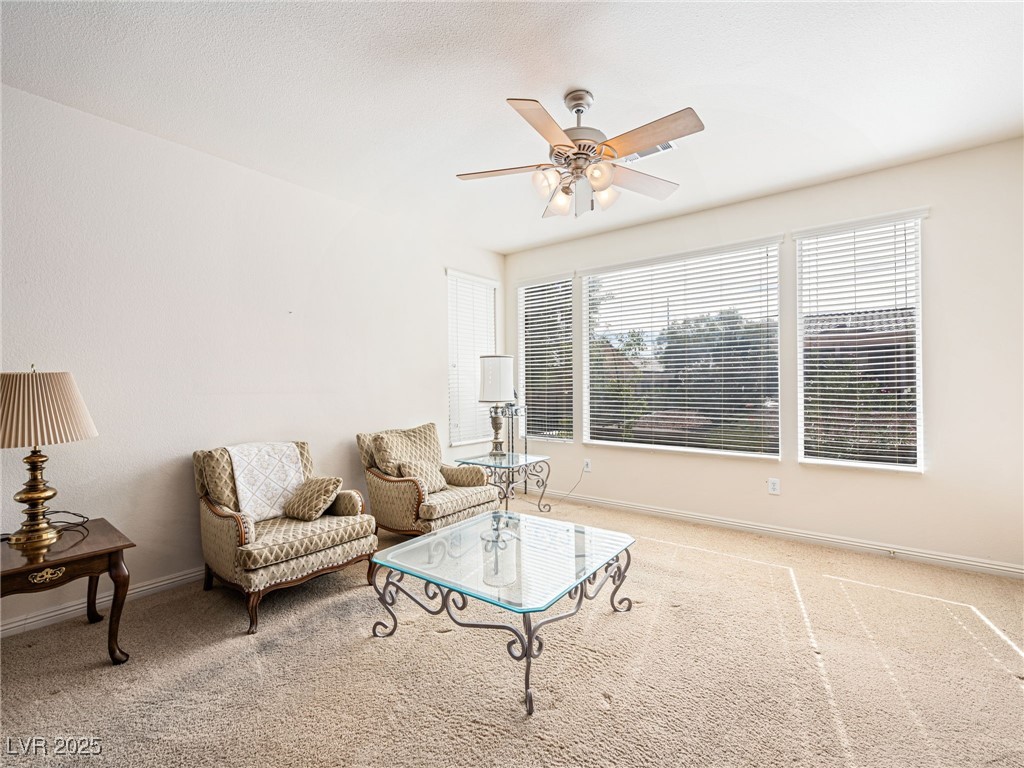 10215 Villa Arceno Avenue Property Photo 21