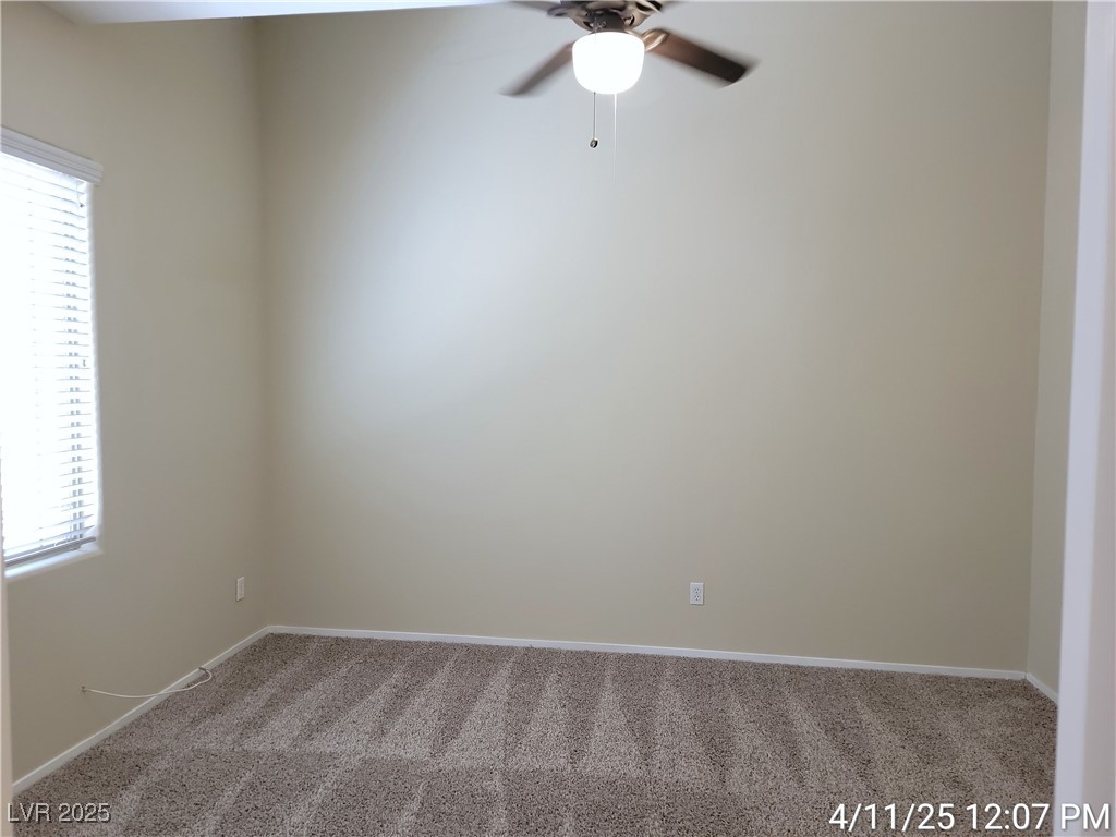 3653 Remington Grove Avenue Property Photo 22