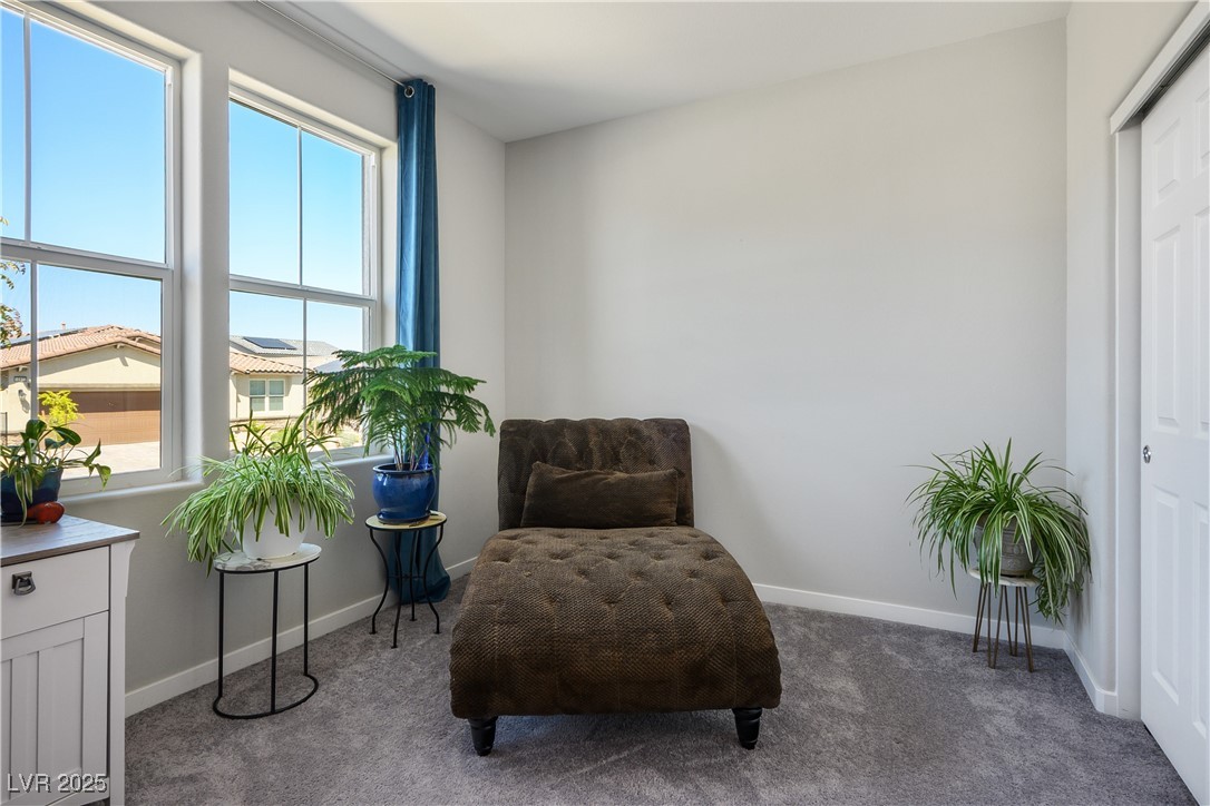 10979 Chipotle Avenue Property Photo 19