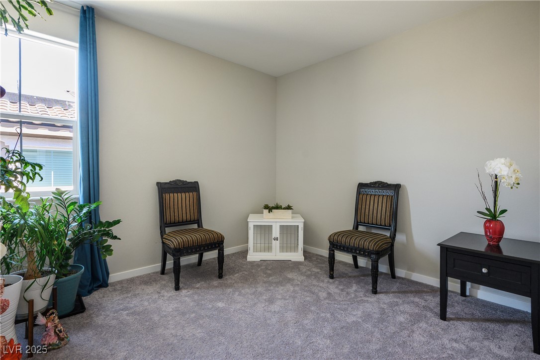 10979 Chipotle Avenue Property Photo 21