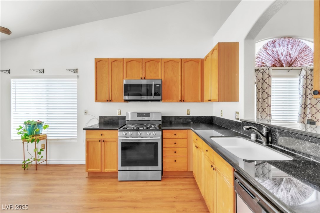 9745 Donner Springs Avenue Property Photo 4