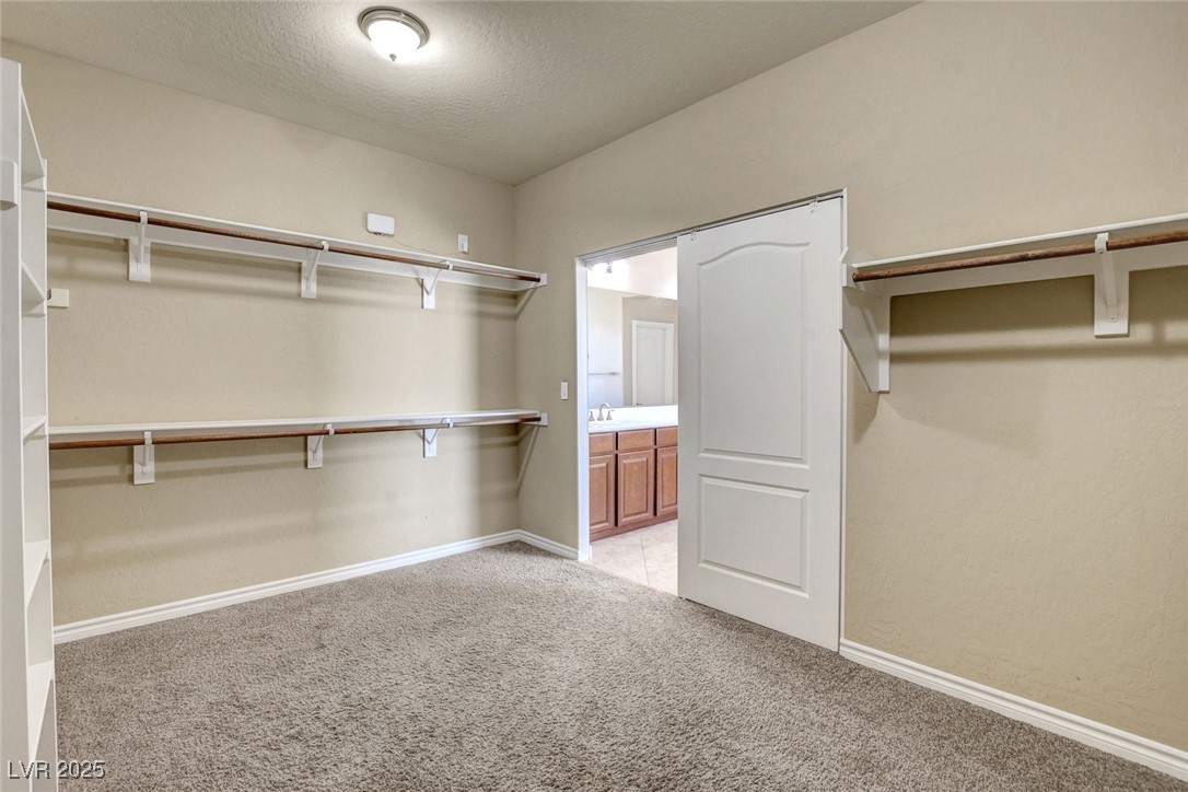 6442 American Eagle Avenue Property Photo 44