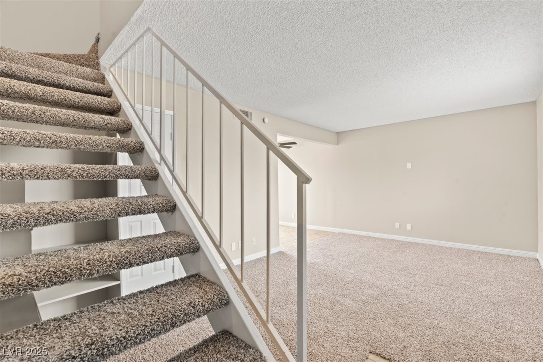 4920 Larkspur Street Property Photo 4
