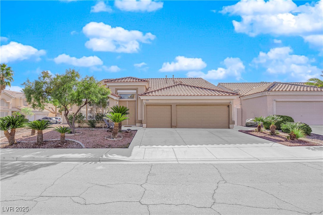 9155 Bush Poppy Avenue Property Photo 1
