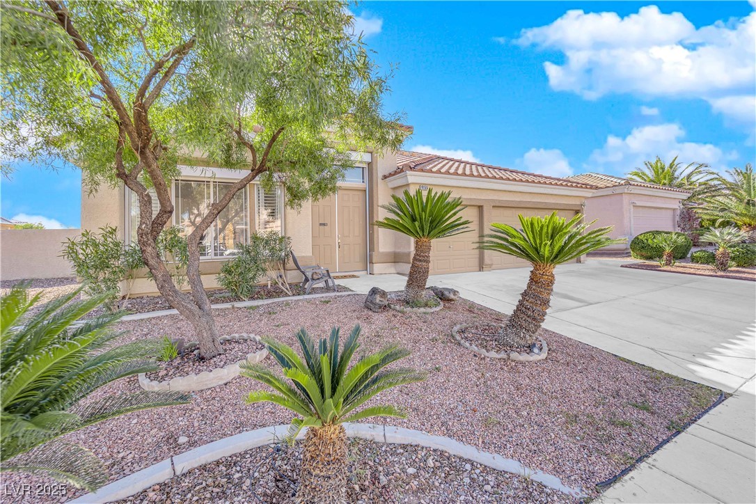 9155 Bush Poppy Avenue Property Photo 45