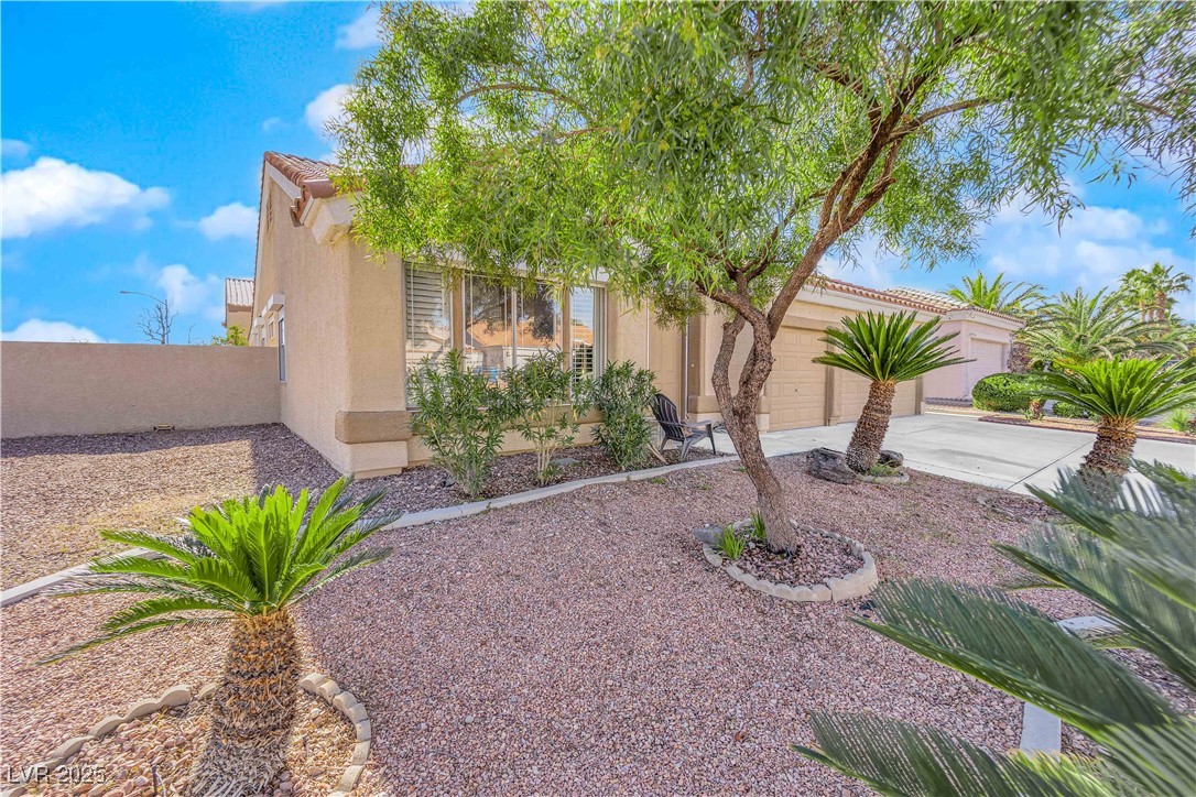 9155 Bush Poppy Avenue Property Photo 46