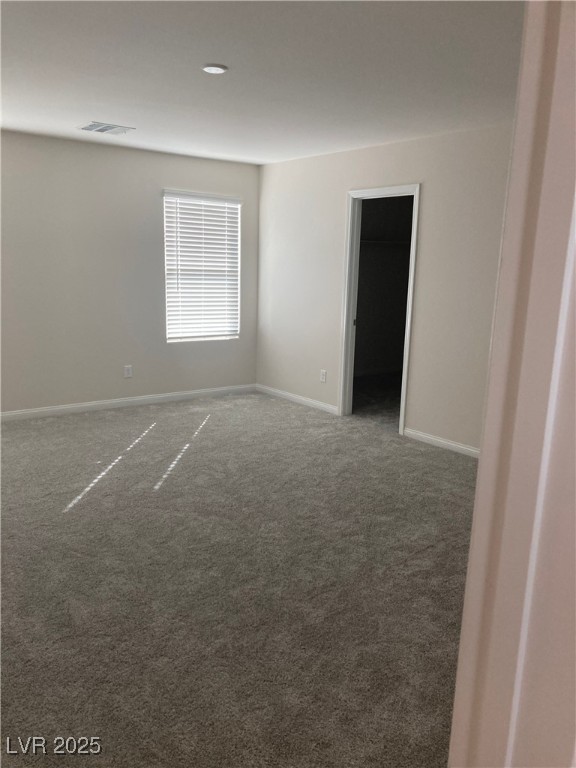 4485 Frias Falls Avenue Property Photo 16