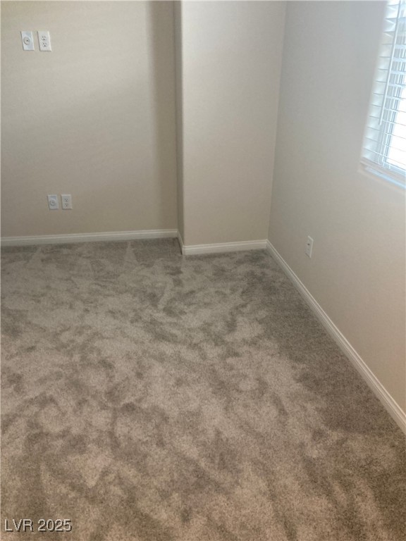 4485 Frias Falls Avenue Property Photo 17