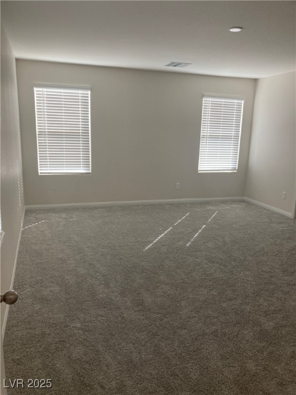 4485 Frias Falls Avenue Property Photo 18