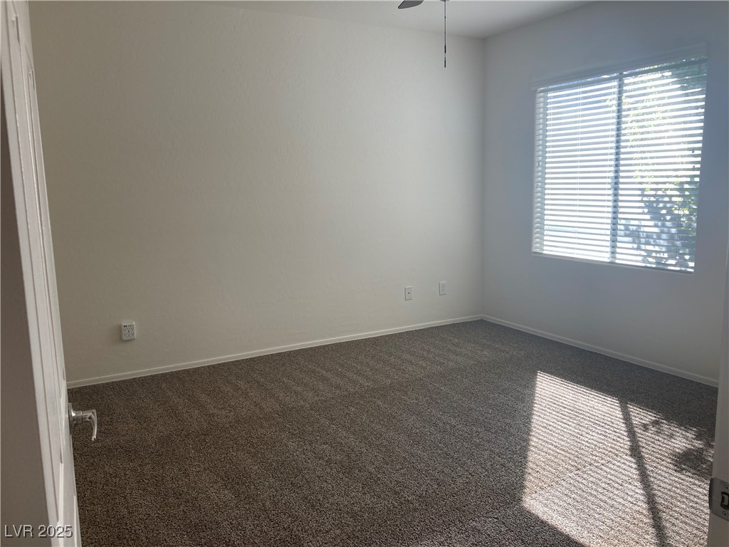 4485 Frias Falls Avenue Property Photo 21