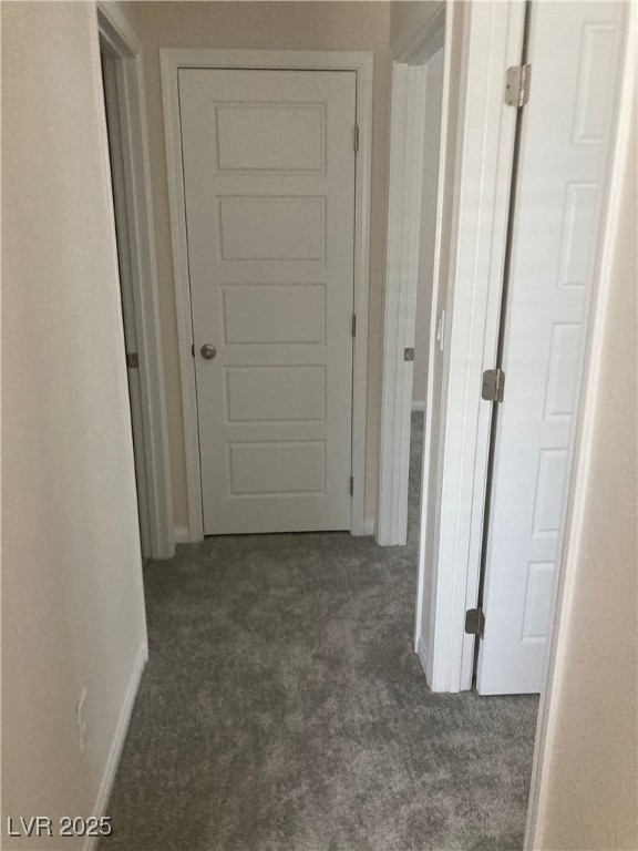 4485 Frias Falls Avenue Property Photo 29