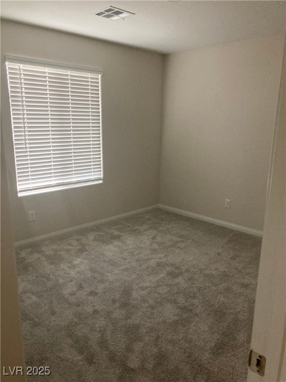 4485 Frias Falls Avenue Property Photo 30