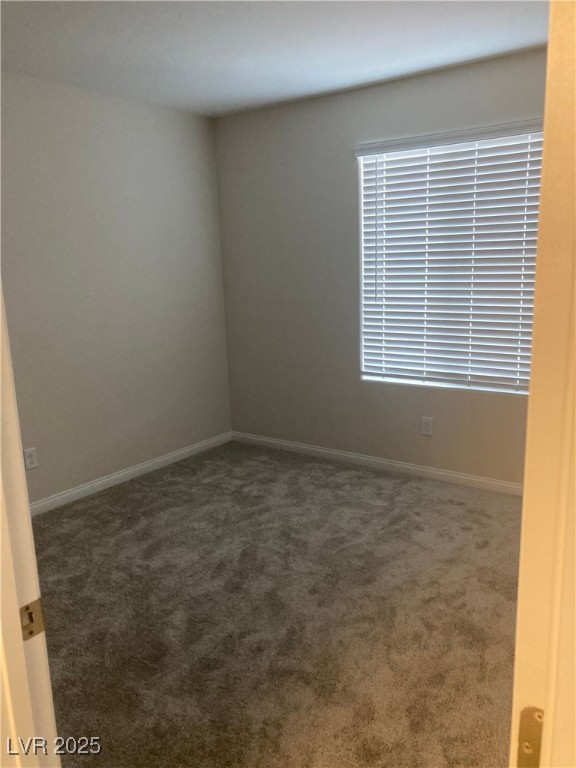 4485 Frias Falls Avenue Property Photo 34