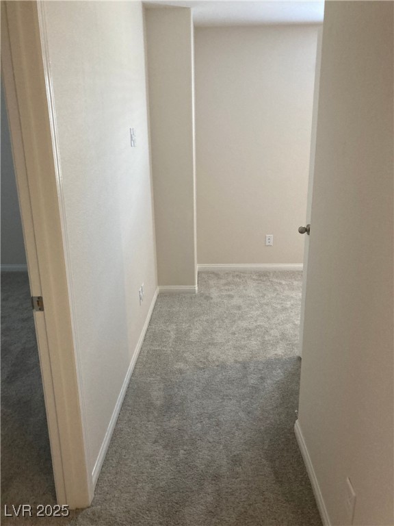 4485 Frias Falls Avenue Property Photo 36