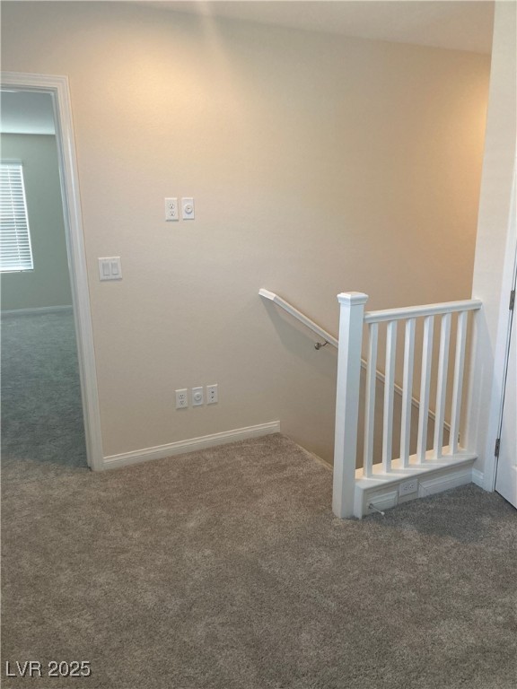 4485 Frias Falls Avenue Property Photo 39