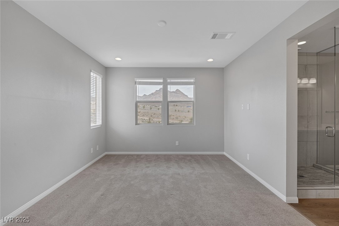 744 Amethyst Point Way Property Photo 20