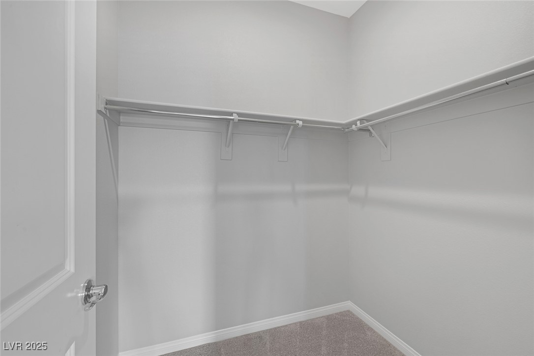 744 Amethyst Point Way Property Photo 23