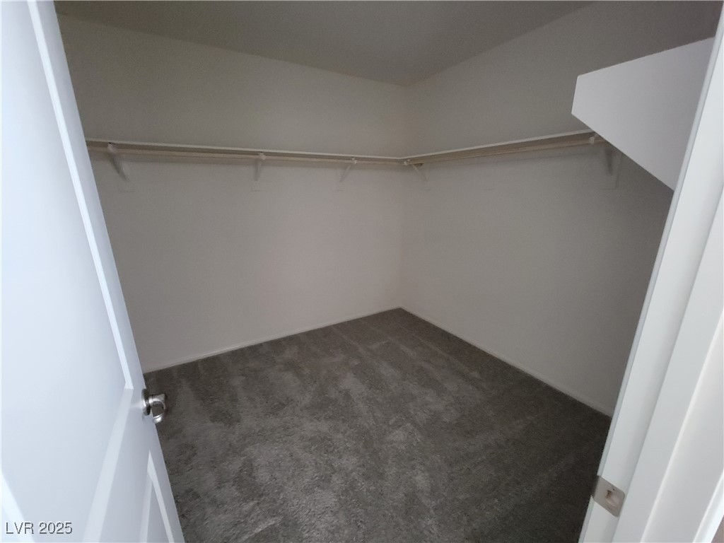 9159 Oxford Blue Avenue Property Photo 15