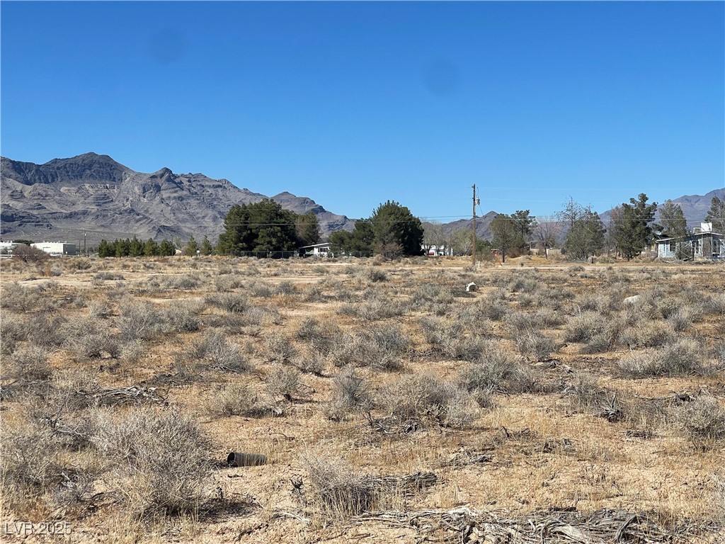 2160 West Mesquite Avenue Property Photo 10