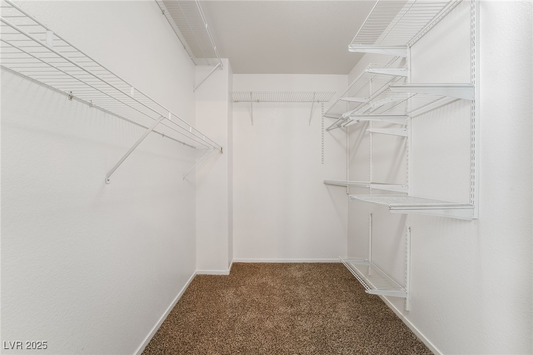 10912 Scotch Rose Street 0 Property Photo 18