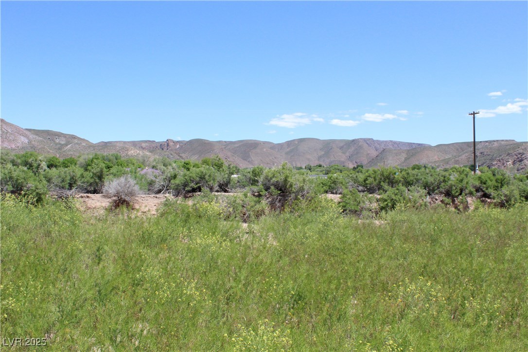 Mobile - Rv Estates - 14.54 Acres Property Photo 5
