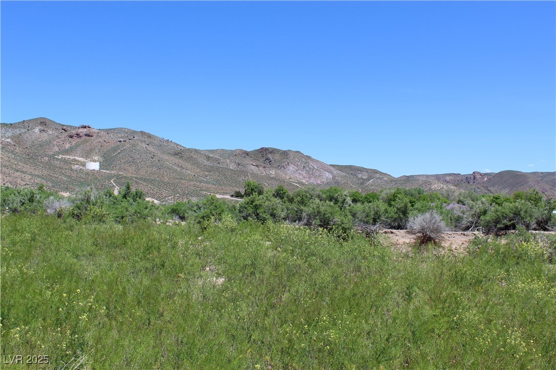Mobile - Rv Estates - 14.54 Acres Property Photo 6
