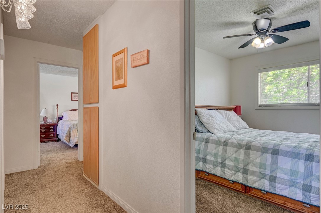 8970 West Lone Mountain Road Property Photo 49