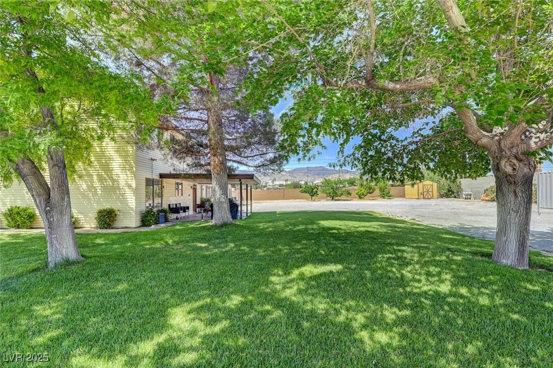 8970 West Lone Mountain Road Property Photo 65