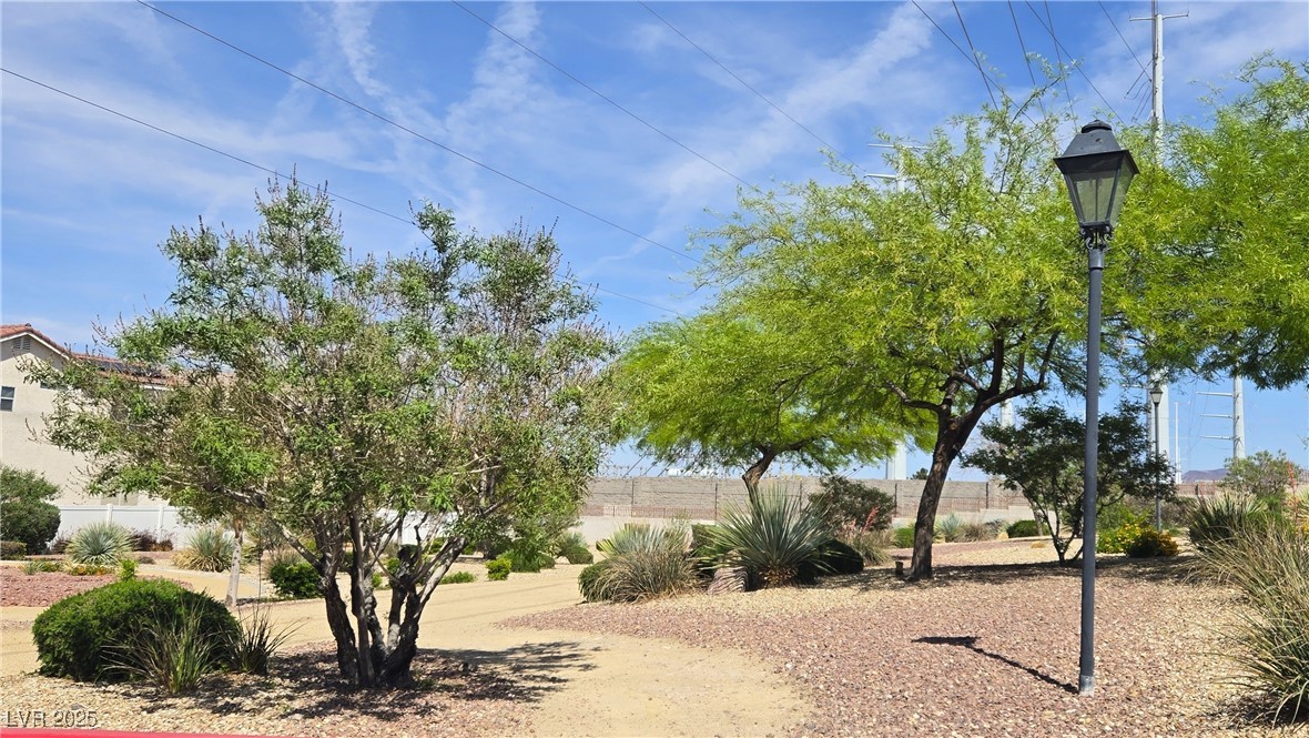 10342 Cherry Brook Street Property Photo 41
