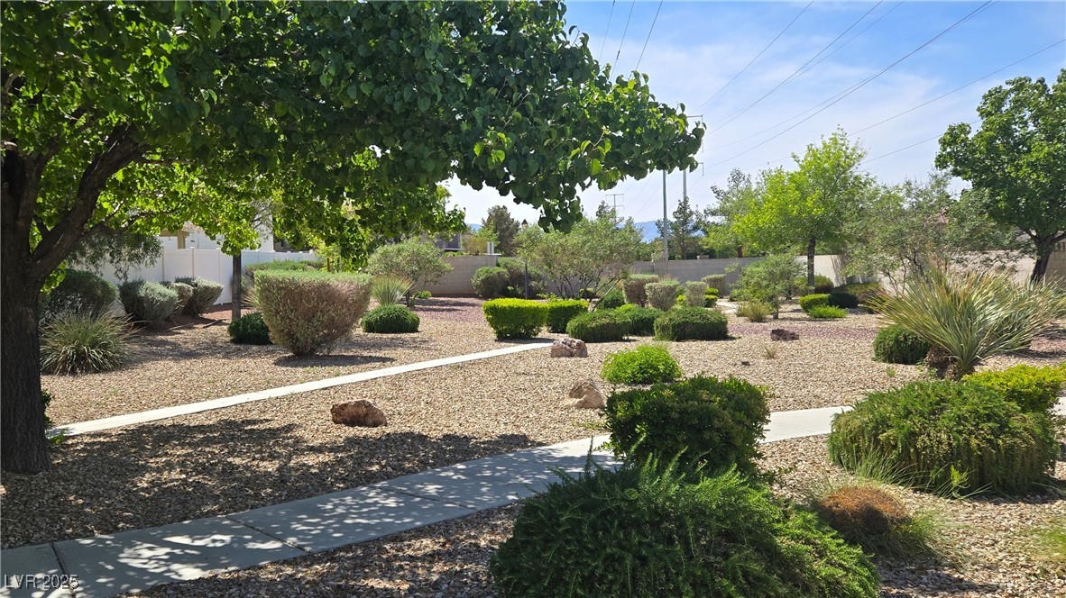 10342 Cherry Brook Street Property Photo 42