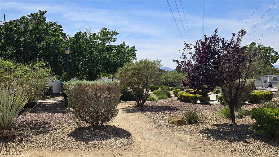 10342 Cherry Brook Street Property Photo 43