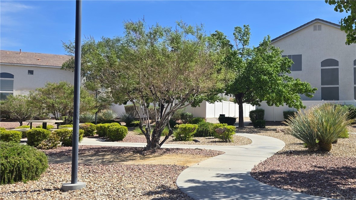 10342 Cherry Brook Street Property Photo 44